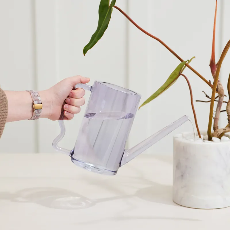 Affordable Agua Purple Waterng Can